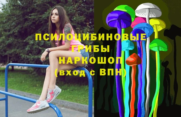 альфа пвп Каменногорск