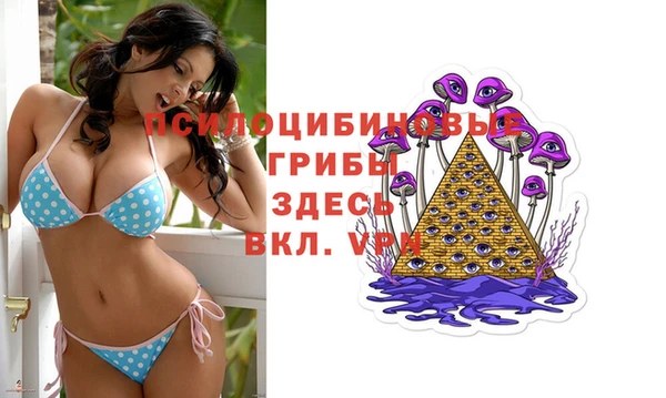 альфа пвп Каменногорск