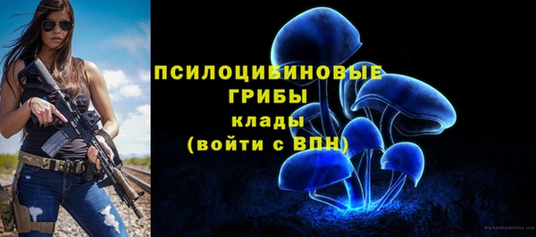 альфа пвп Каменногорск